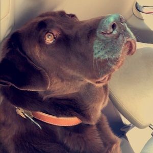 Meet your Posher, Jacob